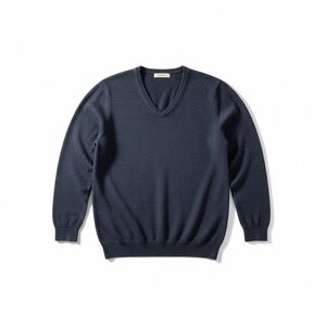 Goodthreads 100% Merino Wool V-Neck Sweater